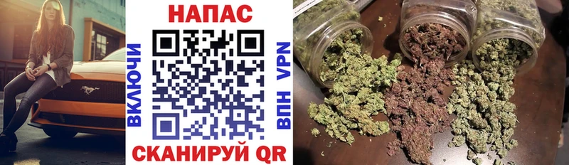 Конопля MAZAR  Павловская 